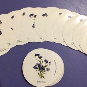 50 Brandy Melville Forget Me Not Stickers